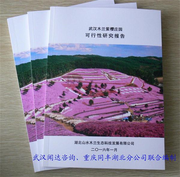 咸宁温泉养老中心项目可行性研究报告
