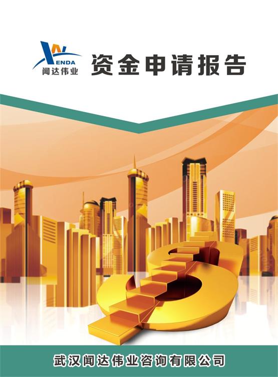 武汉电子线路板专用清洗剂项目资金申请报告